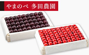 �y�ӂ邳�Ɣ[�Łz�s��s�\��t2026�N �R�`���Y �u�^�Ẵ��r�[�g�P�v�E�T�~�b�g �˔��l�� ��1100g x2 ��܂̂ב��c�k���Y�̂������� �M�t�g ���� ���蕨 �������� F20A-794