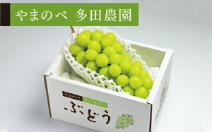 yӂ邳Ɣ[Łz ss\t2026N R`Y VC}XJbg 1[ ܂̂בc_̂Ԃǂi600`700gj  F20A-795