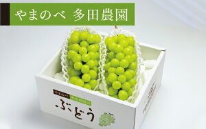 yӂ邳Ɣ[Łz ss\t2026N R`Y VC}XJbg i2`3[j ܂̂בc_̂Ԃǂ  F20A-894