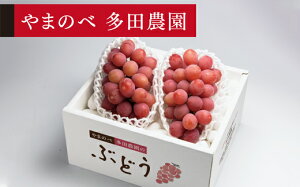 yӂ邳Ɣ[Łz ss\t2026N R`Y NC[j[i 2`3[ ܂̂בc_̂Ԃǂ  F21A-001