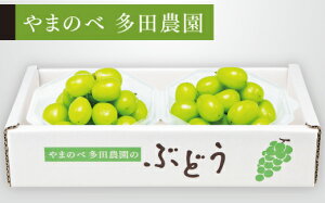 yӂ邳Ɣ[Łz ss\t2026N R`Y VC}XJbg _CpbN 250g×2pbN ܂̂בc_̂Ԃǂ  F21A-312