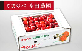 【ふるさと納税】 《先行予約》2027年 山形県産 紅さやか バラ詰め(パック）500g M~L やまのべ多田耕太郎のさくらんぼ サクランボ 送料無料 F21A-393