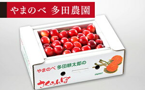 yӂ邳Ɣ[Łz ss\t2026N R`Y g₩ ol(pbNj500g M~L ܂̂בckŶ TN{  F21A-393