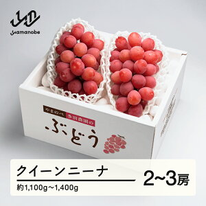 yӂ邳Ɣ[Łz ss\t2026N R`Y NC[j[i 2`3[ ܂̂בc_̂Ԃǂ  F21A-001