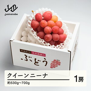 yӂ邳Ɣ[Łz ss\t2026N R`Y NC[j[i 1[ ܂̂בc_̂Ԃǂ  F20A-999