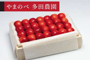 �y�ӂ邳�Ɣ[�Łz�s��s�\��t2026�N �R�`���Y ��܂����g�� ���I�˔��l��500g ��܂̂ב��c�k���Y�̂������� �������� tn-ybxxk500