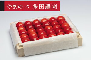 �y�ӂ邳�Ɣ[�Łz�s��s�\��t2026�N �R�`���Y ��܂����g�� ���I�˔��l��300g ��܂̂ב��c�k���Y�̂������� �������� tn-ybxxk300