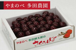 �y�ӂ邳�Ɣ[�Łz�s��s�\��t2026�N �R�`���Y �T�~�b�g �o���l�� ��700g ��܂̂ב��c�k���Y�̂������� �T�N�����{ tn-smx2b700