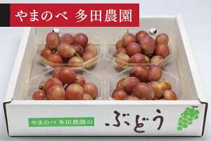 �y�ӂ邳�Ɣ[�Łz �s��s�\��t2026�N �R�`���Y �N�C�[���j�[�i �_�C���p�b�N 250g×4�p�b�N ��܂̂ב��c�_���̂Ԃǂ� �������� tn-buqnd4