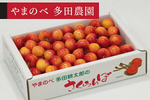 �y�ӂ邳�Ɣ[�Łz�s��s�\��t2026�N �R�`���Y ���[�j�A �o���l�� ��700g ��܂̂ב��c�k���Y�̂������� �T�N�����{ tn-rnx2b700