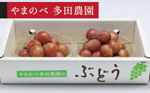 yӂ邳Ɣ[Łz ss\t2026N R`Y NC[j[i _CpbN 250g×2pbN ܂̂בc_̂Ԃǂ  tn-buqnd2