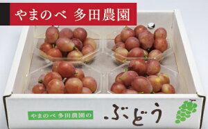 yӂ邳Ɣ[Łz ss\t2026N R`Y NC[j[i _CpbN 250g×4pbN ܂̂בc_̂Ԃǂ  tn-buqnd4