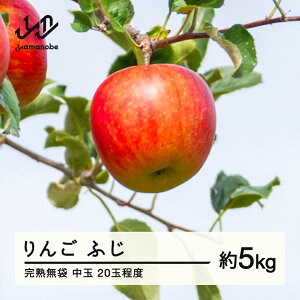 yӂ邳Ɣ[Łz ss\t2025NY nӉʎ n  ӂ 5kgi20ʒxj 2025N12{菇 Hʎ ʕ t[c Tӂ  F20A-142