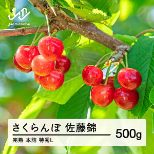 yӂ邳Ɣ[Łzss\t2026N R`Y   500g GL ̂ n {l TN{ t[c ʕ  F20A-018 Eւ̔zs