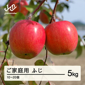 yӂ邳Ɣ[Łzs\ 2025N R`Y ƒp ӂ  5kgi10`20j 2025N11{珇  Eւ̔zs tj-risfk5