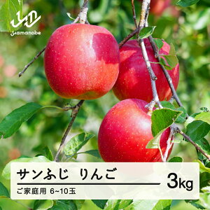 yӂ邳Ɣ[Łz s\ ƒp 2025N ߘa7NY R`Y ƒp Tӂ  3kg(6~10)  yf-risfk3