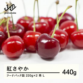 【ふるさと納税】先行予約 2026年 山形県産 令和8年産 さくらんぼ 紅さやか フードパック詰 440g(220g×2 ) 秀 L 2026年6月上旬から順次発送 送料無料 ※沖縄・離島への配送不可 F20A-001