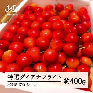 【ふるさと納税】先行予約 2026年 山形県産 さくらんぼ 令和8年産 特選ダイアナブライト バラ詰 約400g 特秀 3〜4L 2026年6月下旬から順次発送 送料無料 ※沖縄・離島への配送不可 F20A-034