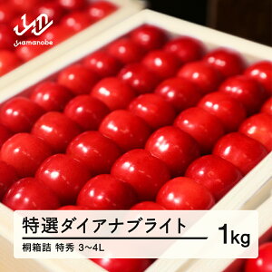 yӂ邳Ɣ[Łzs\ 2026N R`Y ߘa8NY I _CAiuCg  1kg G3`4L ˔l p  Eւ̔zs F20A-035