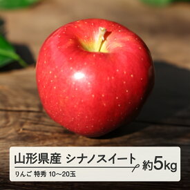 【ふるさと納税】 《先行予約》2024年 山形県産 りんご シナノスイート 特秀 約5kg(10～20玉) 2024年10月中旬から順次発送 果物 くだもの フルーツ 秋果実 林檎 リンゴ F20A-147