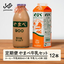 【ふるさと納税】【定期便】山形県産 やまべ牛乳セット (牛乳 1L×3・コーヒー牛乳 900ml×1) ×3回 送料無料 F21A-323