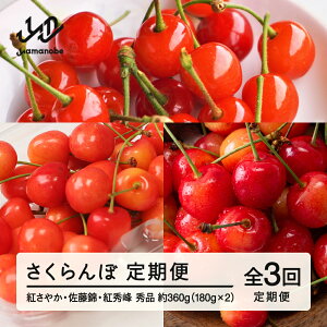 yӂ邳Ɣ[Łz ys\zyցz2026NY ڒ  tf-ft3sa Eւ̔zs