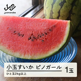【ふるさと納税】 《先行予約》2026年 山形県産 お子さんに大人気！小玉スイカ「ピノガール」 1玉（2kg以上） すいか スイカ 西瓜 フルーツ 果物 野菜 送料無料 F21A-245