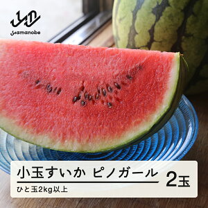 yӂ邳Ɣ[Łz ss\t2026N R`Y qɑlCIʃXCJusmK[v 2ʁi2kgȏ×2ʁj  XCJ Z t[c ʕ   F21A-246