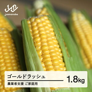 �y�ӂ邳�Ɣ[�Łz �s��s�\��t2026�N �R�`���Y �_�ƎҎx�� ���ƒ�p �S�[���h���b�V�� 1.8kg �Ƃ����낱�� �g�E�����R�V �R�[�� �� ��� �₳�� ������E�����ւ̔z���s�� �������� ot-cngwx1800