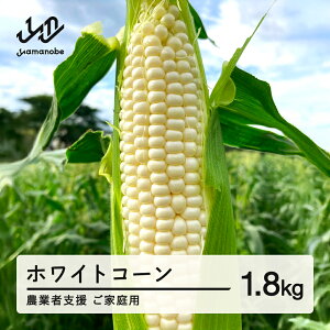 yӂ邳Ɣ[Łz s\ _ƎҎx ƒp 2026N R`Y zCgR[ sAzCg 1.8kg Ŗ키 Ƃ낱 gERV R[   ₳ Eւ