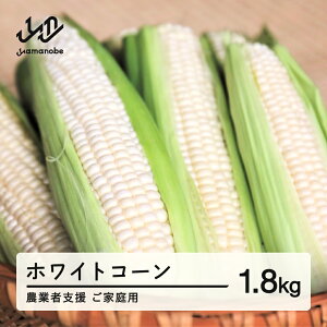 yӂ邳Ɣ[Łz s\ _ƎҎx ƒp 2026N R`Y zCgR[ sAzCg 1.8kg Ŗ키 Ƃ낱 gERV R[   ₳ Eւ