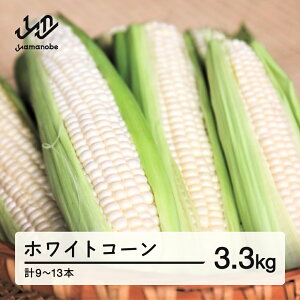 yӂ邳Ɣ[Łz ss\t2026N R`Y zCgR[ sAzCg 3.3kg(9-13{jŖ키 Ƃ낱 gERV R[   ₳ Eւ̔zs 