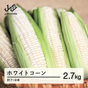 yӂ邳Ɣ[Łz ss\t2026N R`Y zCgR[ sAzCg 2.7kg(7-9{jŖ키 Ƃ낱 gERV R[   ₳ Eւ̔zs 