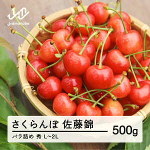 yӂ邳Ɣ[Łz s\ 2026N R`Y   ol 500g G L`2L 2026N6{珇 TN{ t[c  ʕ  ot-snsbx500