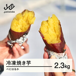 yӂ邳Ɣ[Łzs\ ⓀĂ g͂邩2.3kg 2026N1{珇 Â ˂Ƃn ܂ Tc}C    ot-spbhx2300