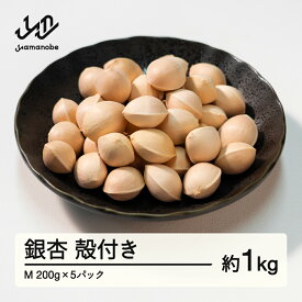 【ふるさと納税】≪先行予約≫2025年 山形県産 銀杏 殻付き M 約1kg（200g×5パック）2025年10月中旬から順次発送 ぎんなん おつまみ 真空パック 個包装 小分け 秋 野菜 送料無料 ※沖縄・離島への配送不可 F20A-729