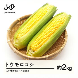 【ふるさと納税】2026年 山形県産 トウモロコシ 2kg以上（8〜10本）皮付き 2026年7月下旬から順次発送 野菜 とうもろこし 送料無料 F21A-369