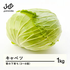 【ふるさと納税】 ≪先行予約≫ 2026年 山形県産 雪の下育ち キャベツ 1kg（3~6個） 2026年1月中旬から順次発送 野菜 送料無料 F21A-368
