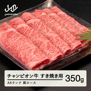 yӂ邳Ɣ[Łz30R`ƒ{}i`sI R` [XĂ 350g A5N  јa Y  tc-cpexy350 Eւ̔zs