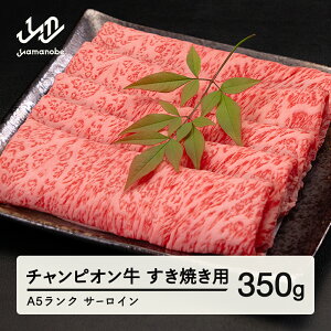 yӂ邳Ɣ[Łz30R`ƒ{}i`sI R` T[C Ă 350g A5N  јa Y  tc-cpsxy350 Eւ̔zs