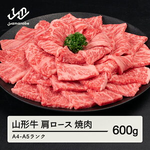 yӂ邳Ɣ[Łz R` [X ē 600g  A4-A5N Ⓚ {Y tc-gnexg600 Eւ̔zs
