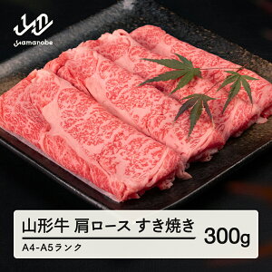 yӂ邳Ɣ[Łz R` [X Ă 300g  A4-A5N Ⓚ {Y tc-gnexy300 Eւ̔zs