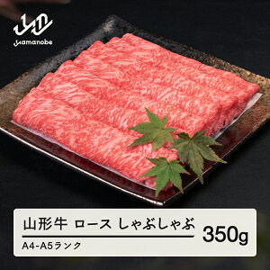 yӂ邳Ɣ[ŁzR` [X Ԃ 350g  A4-A5N Ⓚ {Y tc-gnrxh350Eւ̔zs