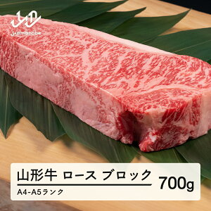 yӂ邳Ɣ[Łz R` [X ubN 700g  A4-A5N Ⓚ {Y tc-gnrxl700 Eւ̔zs