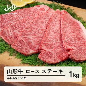 yӂ邳Ɣ[ŁzR` [X Xe[L 5 v1kg  A4-A5N Ⓚ {Y tc-gnrxt1000 Eւ̔zs