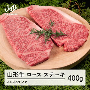 yӂ邳Ɣ[Łz R` [X Xe[L 2 v400g  A4-A5N Ⓚ {Y tc-gnrxt400 Eւ̔zs