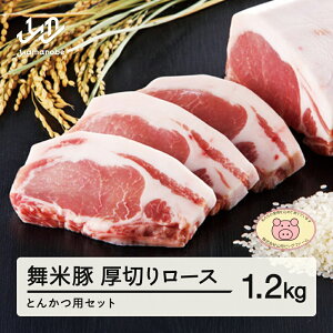 【ふるさと納税】山形県産 ブランド豚 厚切りロースとんかつ用セット 1.2kg 送料無料