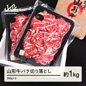 yӂ邳Ɣ[Łz R` o ؂藎Ƃ 1kg 500g × 2 uh јa a  tf-gnbox1000 Eւ̔zs