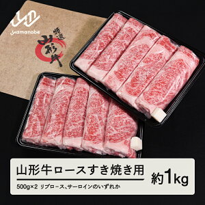 yӂ邳Ɣ[Łz R` [X Ăp 1kg 500g × 2 u|X T[C ̂ꂩ uh јa a  tf-gnrxy1000 Eւ̔zs