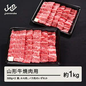 yӂ邳Ɣ[Łz R` ē   o ̂ꂩ 1kg 500g × 2 uh јa a  tf-gnxxg1000 Eւ̔zs